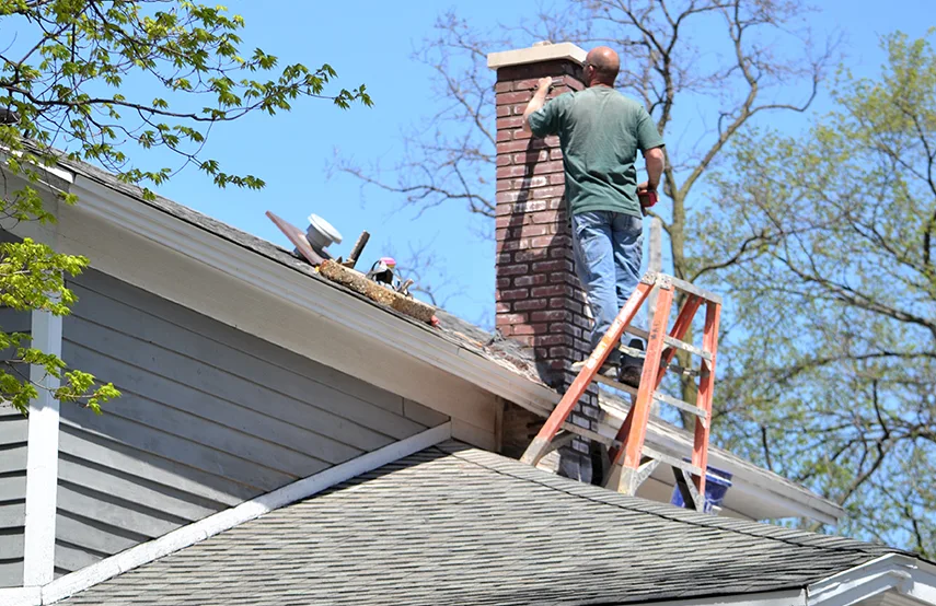 Chimney & Fireplace Inspections Services in East Ridge, TN